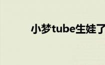 小梦tube生娃了吗（小梦tube）