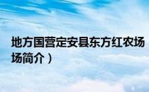 地方国营定安县东方红农场（关于地方国营定安县东方红农场简介）
