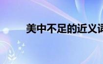 美中不足的近义词是什么 (五年级)