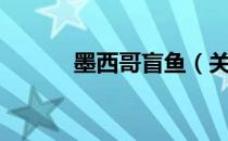 墨西哥盲鱼（关于墨西哥盲鱼）