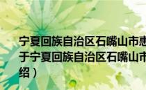 宁夏回族自治区石嘴山市惠农区庙台乡东永固村团支部（关于宁夏回族自治区石嘴山市惠农区庙台乡东永固村团支部介绍）