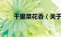 千里菜花香（关于千里菜花香简介）