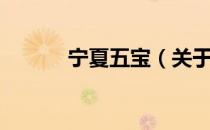 宁夏五宝（关于宁夏五宝介绍）