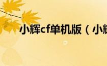 小辉cf单机版（小辉穿越火线单机版）