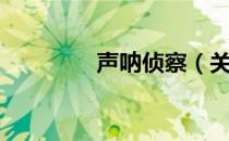 声呐侦察（关于声呐侦察）