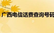 广西电信话费查询号码（广西电信话费查询）