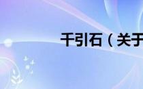千引石（关于千引石简介）