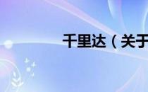 千里达（关于千里达简介）