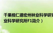 千果榄仁德宏州林业科学研究所F1（关于千果榄仁德宏州林业科学研究所F1简介）