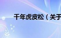 千年虎皮松（关于千年虎皮松简介）