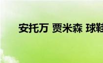 安托万 贾米森 球鞋（安托万 贾米森）