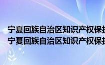 宁夏回族自治区知识产权保护和运用“十四五”规划（关于宁夏回族自治区知识产权保护和运用“十四五”规划介绍）