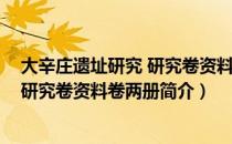 大辛庄遗址研究 研究卷资料卷两册（关于大辛庄遗址研究 研究卷资料卷两册简介）