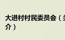 大进村村民委员会（关于大进村村民委员会简介）