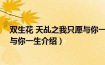 双生花 天乩之我只愿与你一生（关于双生花 天乩之我只愿与你一生介绍）