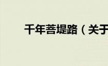 千年菩堤路（关于千年菩堤路简介）