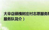 大辛店镇槐树庄村志愿服务队（关于大辛店镇槐树庄村志愿服务队简介）