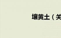 壤黄土（关于壤黄土）
