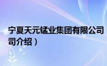 宁夏天元锰业集团有限公司（关于宁夏天元锰业集团有限公司介绍）