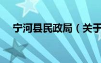 宁河县民政局（关于宁河县民政局介绍）