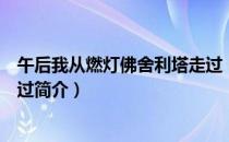 午后我从燃灯佛舍利塔走过（关于午后我从燃灯佛舍利塔走过简介）