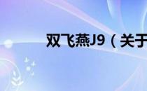双飞燕J9（关于双飞燕J9介绍）