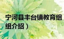 宁河县丰台镇教育组（关于宁河县丰台镇教育组介绍）