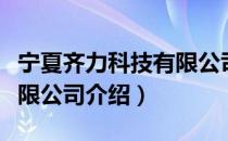 宁夏齐力科技有限公司（关于宁夏齐力科技有限公司介绍）