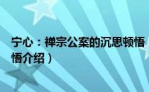 宁心：禅宗公案的沉思顿悟（关于宁心：禅宗公案的沉思顿悟介绍）