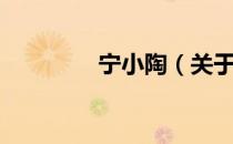 宁小陶（关于宁小陶介绍）