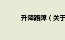 升降路障（关于升降路障简介）