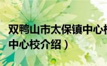 双鸭山市太保镇中心校（关于双鸭山市太保镇中心校介绍）