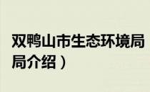 双鸭山市生态环境局（关于双鸭山市生态环境局介绍）