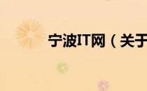 宁波IT网（关于宁波IT网介绍）