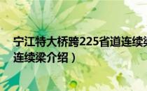 宁江特大桥跨225省道连续梁（关于宁江特大桥跨225省道连续梁介绍）