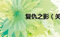 复仇之影（关于复仇之影）