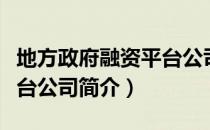 地方政府融资平台公司（关于地方政府融资平台公司简介）