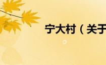 宁大村（关于宁大村介绍）