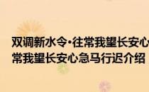双调新水令·往常我望长安心急马行迟（关于双调新水令·往常我望长安心急马行迟介绍）