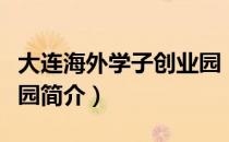 大连海外学子创业园（关于大连海外学子创业园简介）