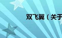 双飞翼（关于双飞翼介绍）