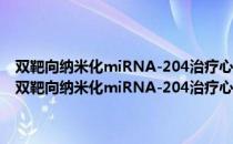 双靶向纳米化miRNA-204治疗心肌缺血再灌注损伤的机制研究（关于双靶向纳米化miRNA-204治疗心肌缺血再灌注损伤的机制研究介绍）
