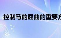 控制马的屈曲的重要方法之一是使用外方腿