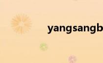 yangsangbb霜怎么样？