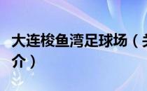 大连梭鱼湾足球场（关于大连梭鱼湾足球场简介）