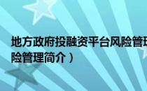地方政府投融资平台风险管理（关于地方政府投融资平台风险管理简介）