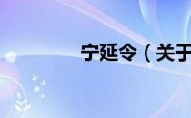 宁延令（关于宁延令介绍）