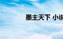 墨主天下 小说（墨主天下）