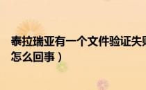 泰拉瑞亚有一个文件验证失败（泰拉瑞亚一个文件验证失败怎么回事）