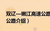 双辽—嫩江高速公路（关于双辽—嫩江高速公路介绍）